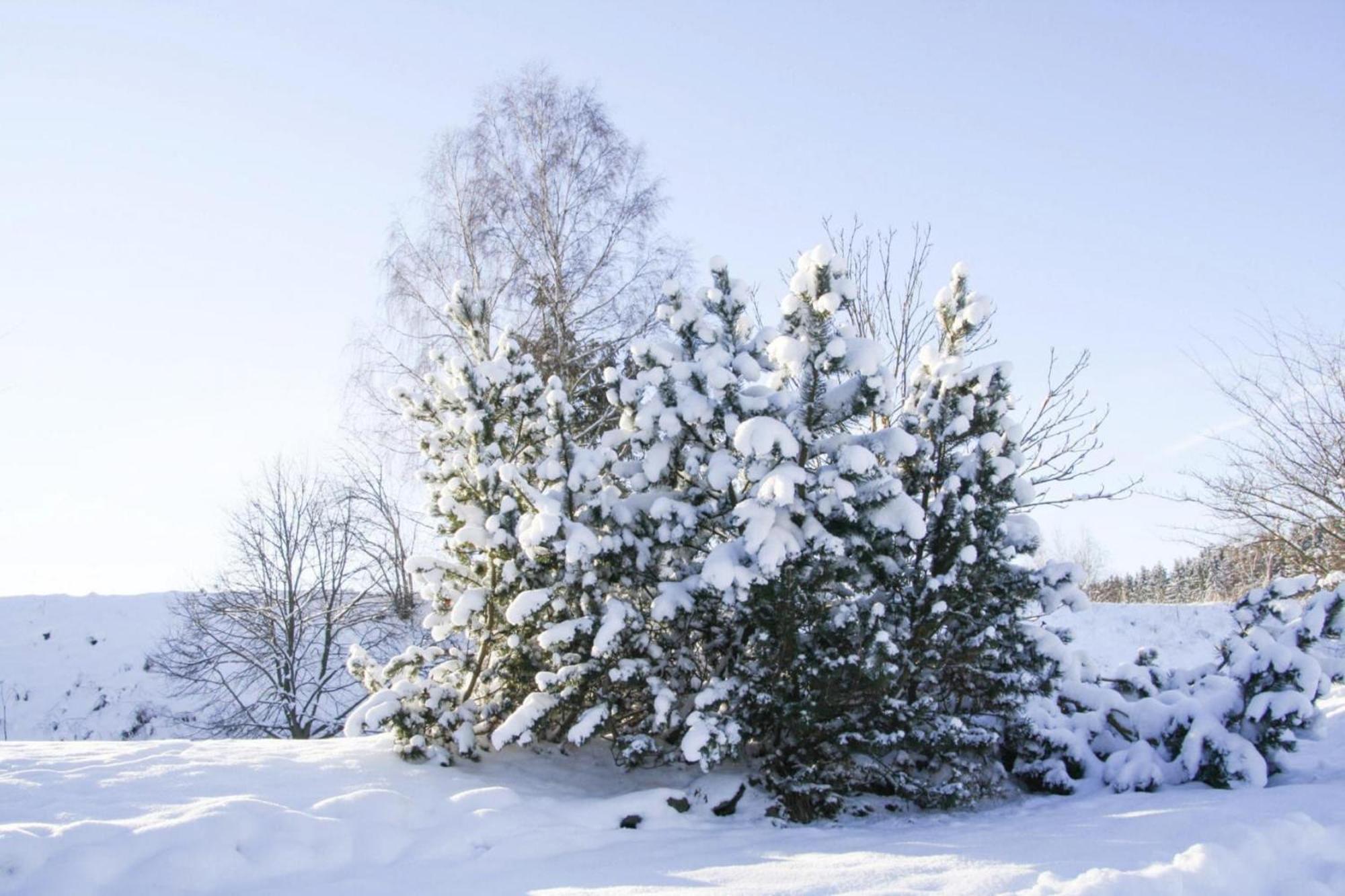 Apartment Braunlage Luaran gambar