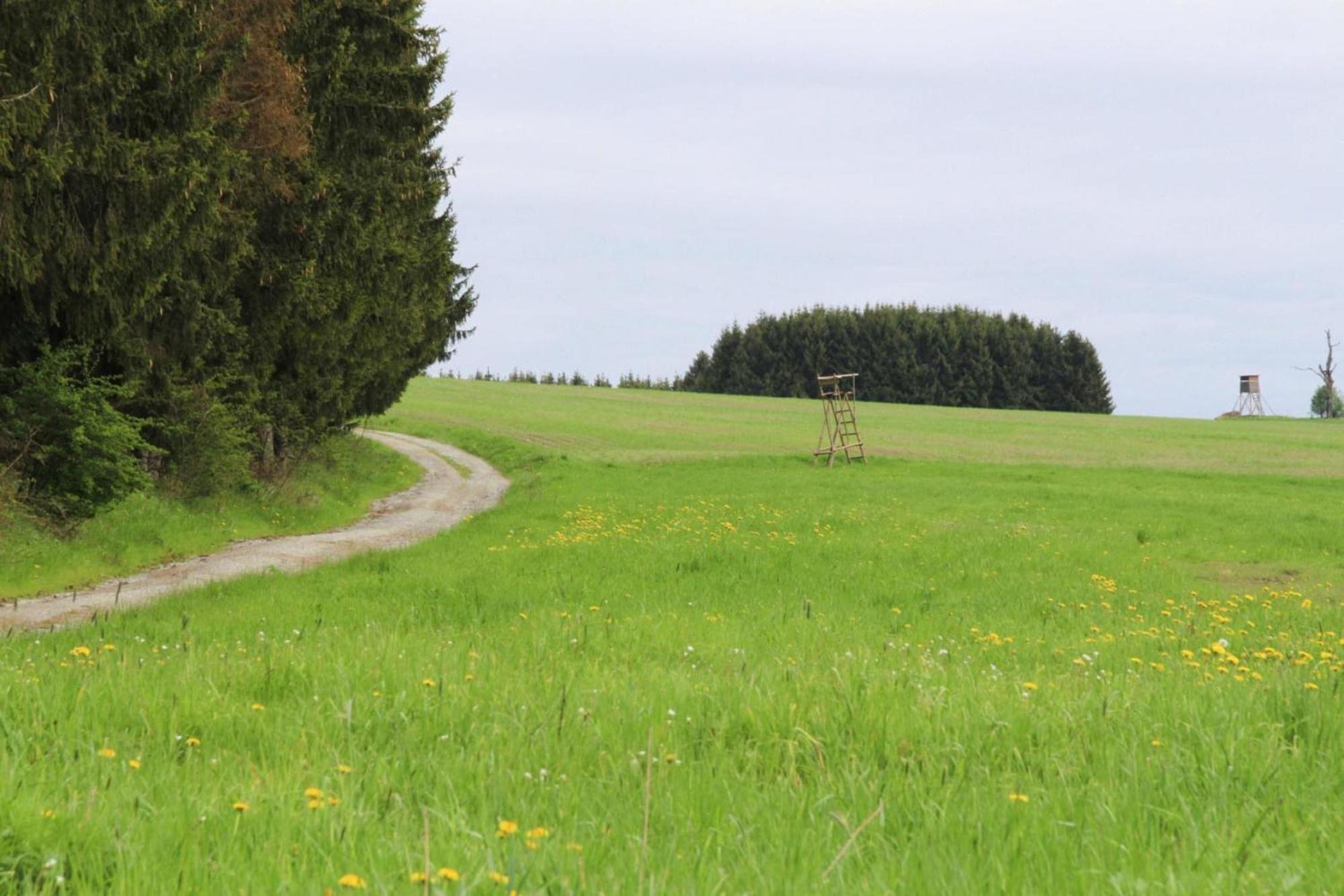 Apartment Braunlage Luaran gambar