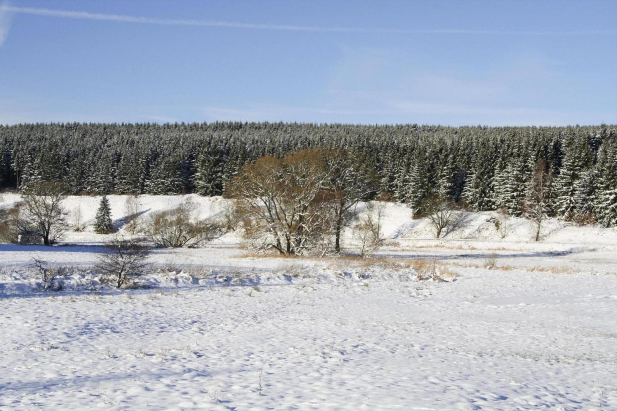 Apartment Braunlage Luaran gambar